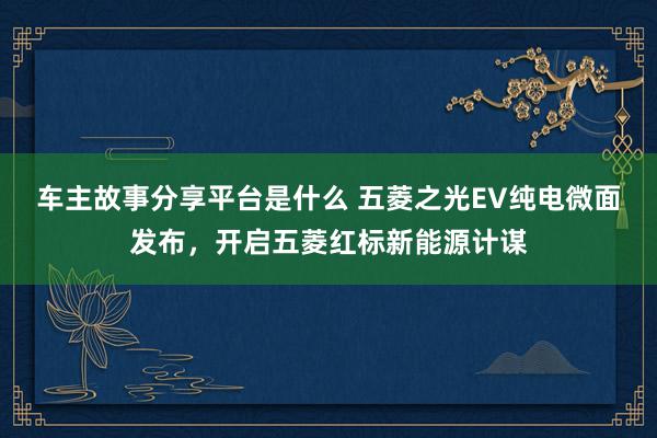 车主故事分享平台是什么 五菱之光EV纯电微面发布，开启五菱红标新能源计谋