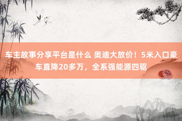 车主故事分享平台是什么 奥迪大放价！5米入口豪车直降20多万，全系强能源四驱