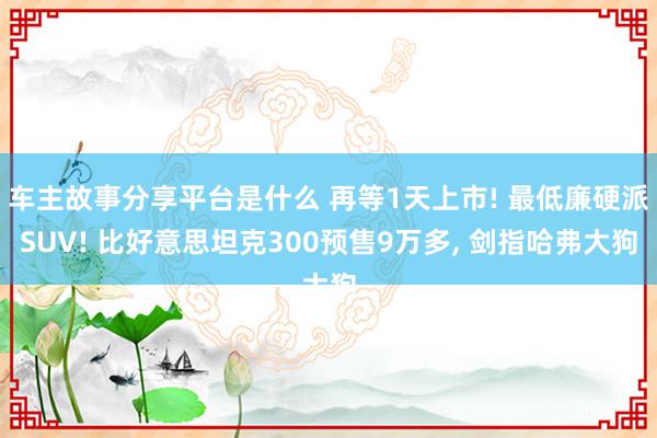 车主故事分享平台是什么 再等1天上市! 最低廉硬派SUV! 比好意思坦克300预售9万多, 剑指哈弗大狗