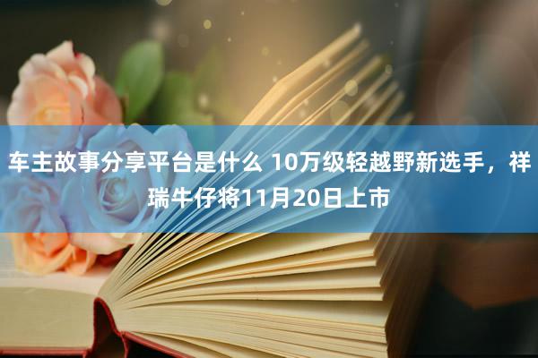 车主故事分享平台是什么 10万级轻越野新选手，祥瑞牛仔将11月20日上市