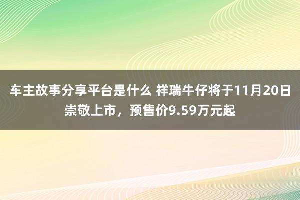 车主故事分享平台是什么 祥瑞牛仔将于11月20日崇敬上市，预售价9.59万元起