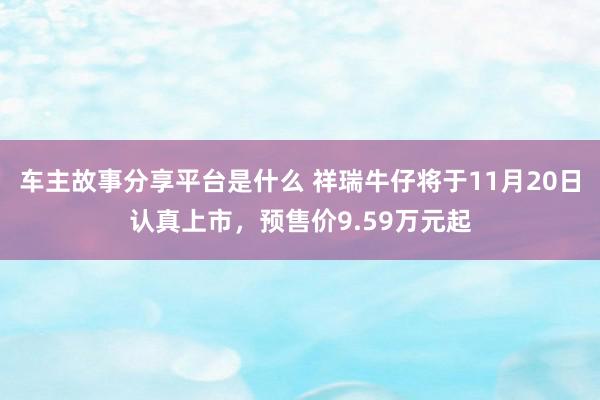 车主故事分享平台是什么 祥瑞牛仔将于11月20日认真上市，预售价9.59万元起