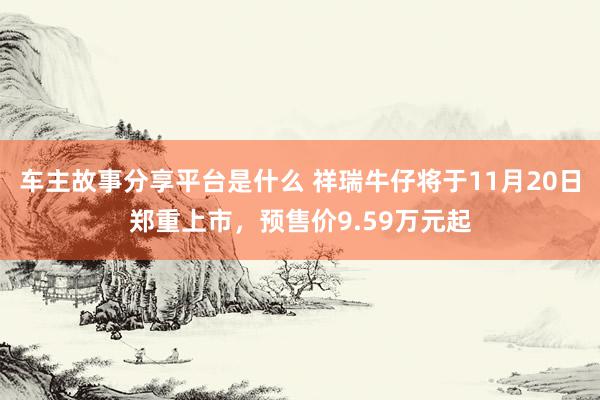 车主故事分享平台是什么 祥瑞牛仔将于11月20日郑重上市，预售价9.59万元起